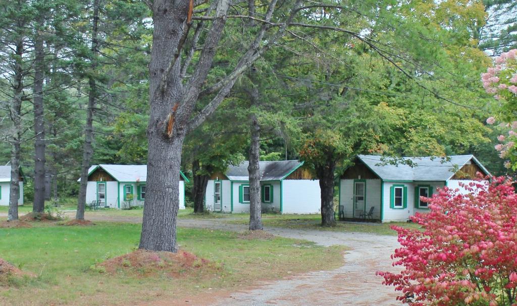 Pine Valley Cabins Thornton Ruang foto