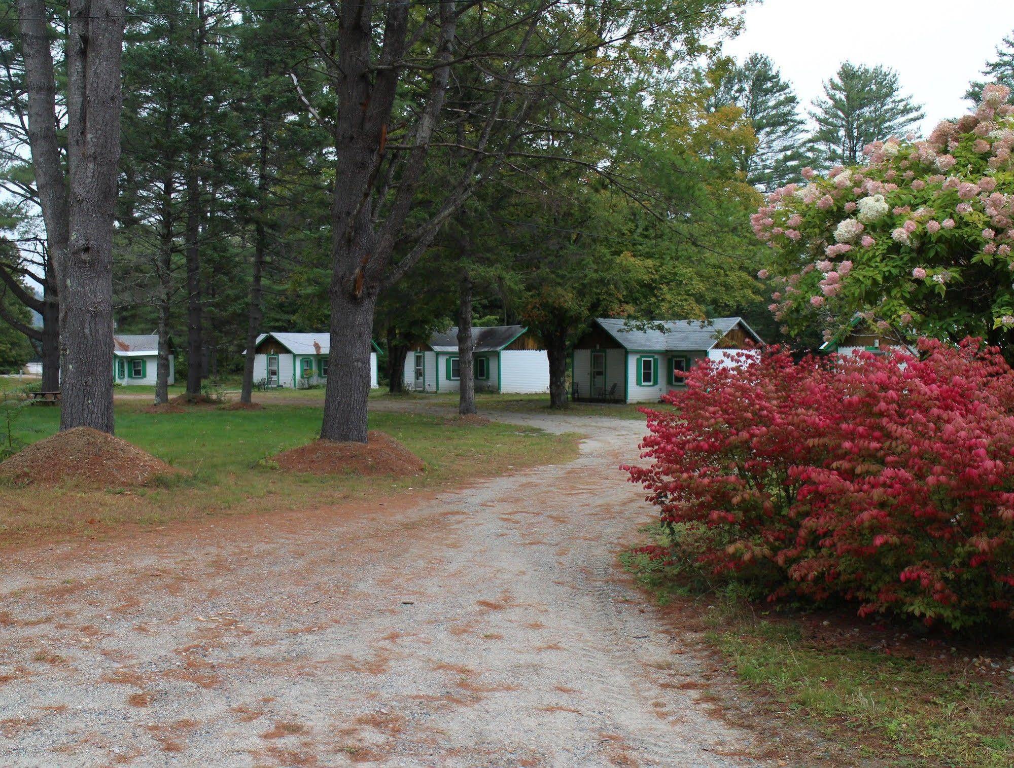 Pine Valley Cabins Thornton Bagian luar foto